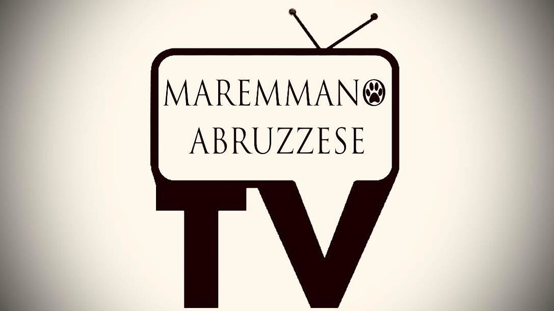 maremmano abruzzese tv